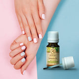 Nail Oil Cuticle