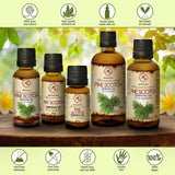 Pine Scotch Essential Oil