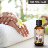 Thistle Oil 1.7 oz (50ml) - Silybum Marianum Seed Oil - 100% Pure & Natural - Great Benefits for Skin - Hair - Face - Body Care - Glass Bottle - Oils Thistle