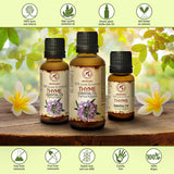 Thyme Essential Oil