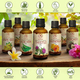 Thistle Oil 1.7 oz (50ml) - Silybum Marianum Seed Oil - 100% Pure & Natural - Great Benefits for Skin - Hair - Face - Body Care - Glass Bottle - Oils Thistle