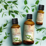 Eucalyptus Essential Oil